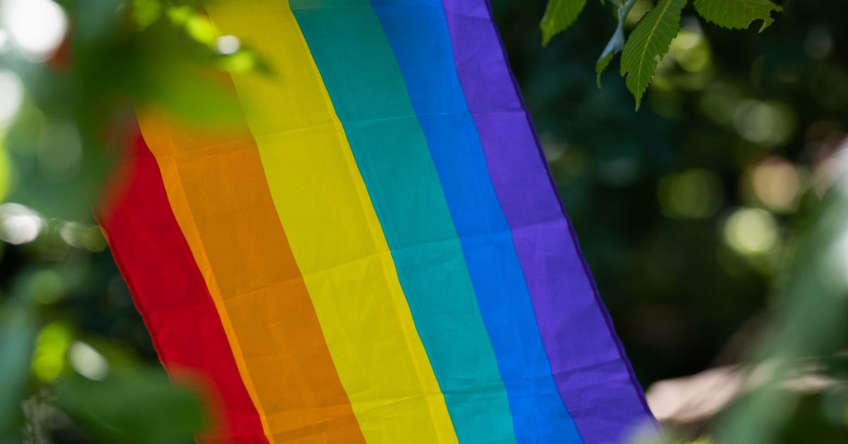 Sinimustan liikkeen mukaan oli sattumaa, että järjestön toimintapäivä osui samalle päivälle Hamina Priden kanssa