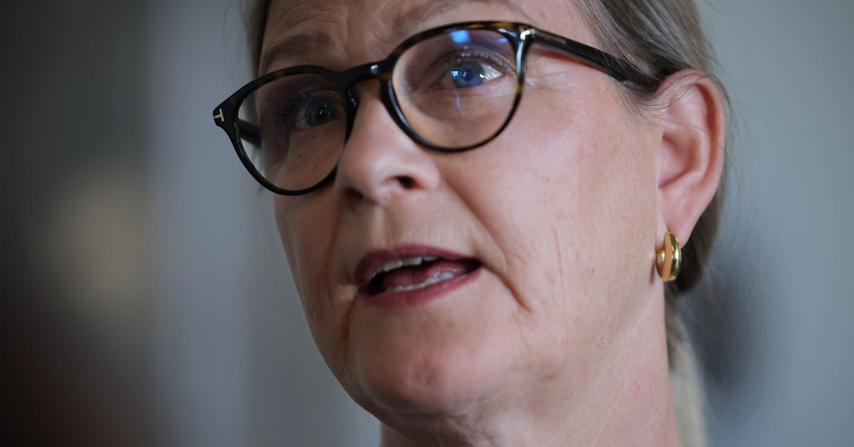 RKP:n Biaudet rinnasti hallituksen ”käännytyslain” perussuomalaisten ...