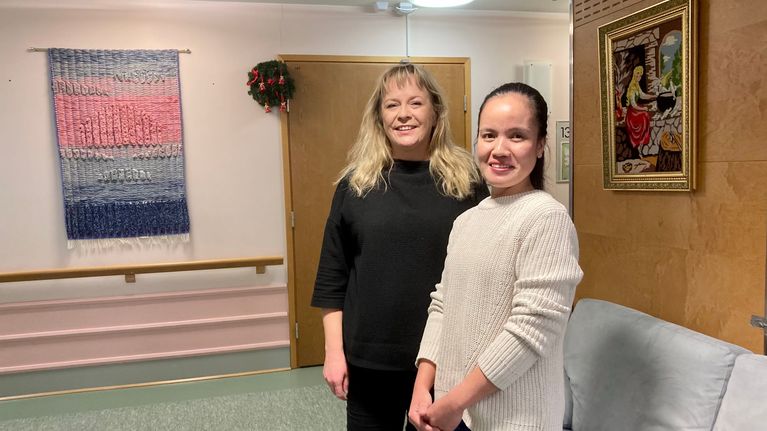 helsingfors-vill-locka-ett-hundratal-utl-ndska-v-rdproffs-varje-r