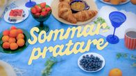 Bild av piknik filt med texten Sommarpratare på