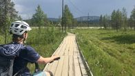 Virheän ruohikkoinen niitty, jota halkoo puinen polku ja jota pitkin valkokypäräinen pyörilijä polkee.
