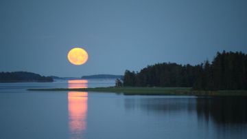 Täysikuu nousee rauhallisen veden yllä, kuun heijastus näkyy vedessä, taustalla metsää ja rantaviivaa.