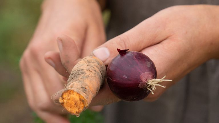 Carrot and onion