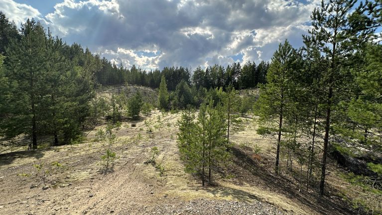 Karkkilan Toivikkeen alueella sijaitseva sorakuoppa, jota koskevasta maanottosopimuksesta on muodostunut kaupungin ja Ruduksen välisen kiistan kohde.