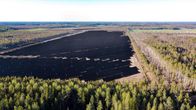 Metsän keskellä oleva iso suoalue, joka on katettu mustilla aurinkopaneeleilla.