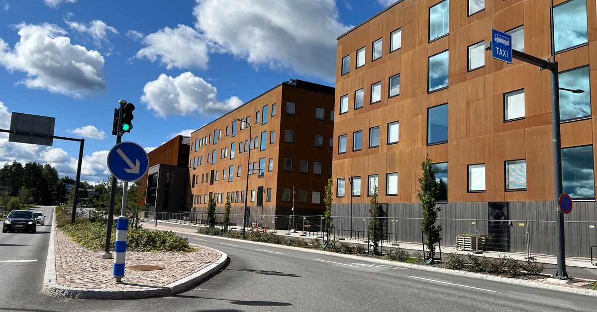 Valvira määräsi hoitojonoista miljoonan euron uhkasakon – Kanta-Hämeen ...