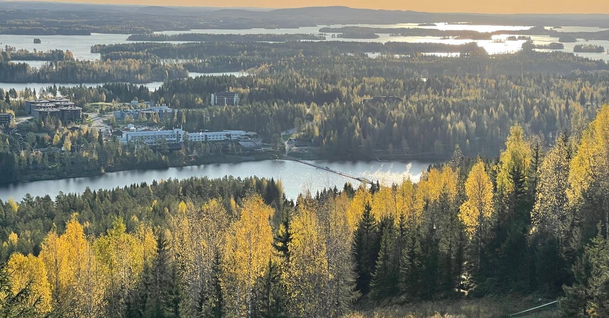 Ratsastuskeskus Tahkon Maneesi on asetettu konkurssiin | Pohjois-Savo | Yle