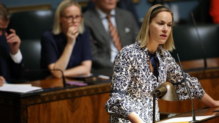 Vasemmistoliiton edustaja Hanna Sarkkinen.
