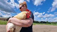 Kaisa Rautakannel ja Seppo-Kukko.