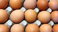 Kananmunia Kuorttisen luomukanalan pakkaamossa.