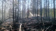 Palomies sammuttaa maastopaloa nuoressa metsässä. Kuvassa näkyy hiiltyneitä puita.