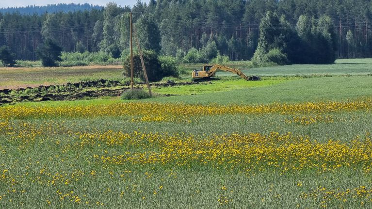 Kaivuri ojittaa peltoa Hanhijärvellä