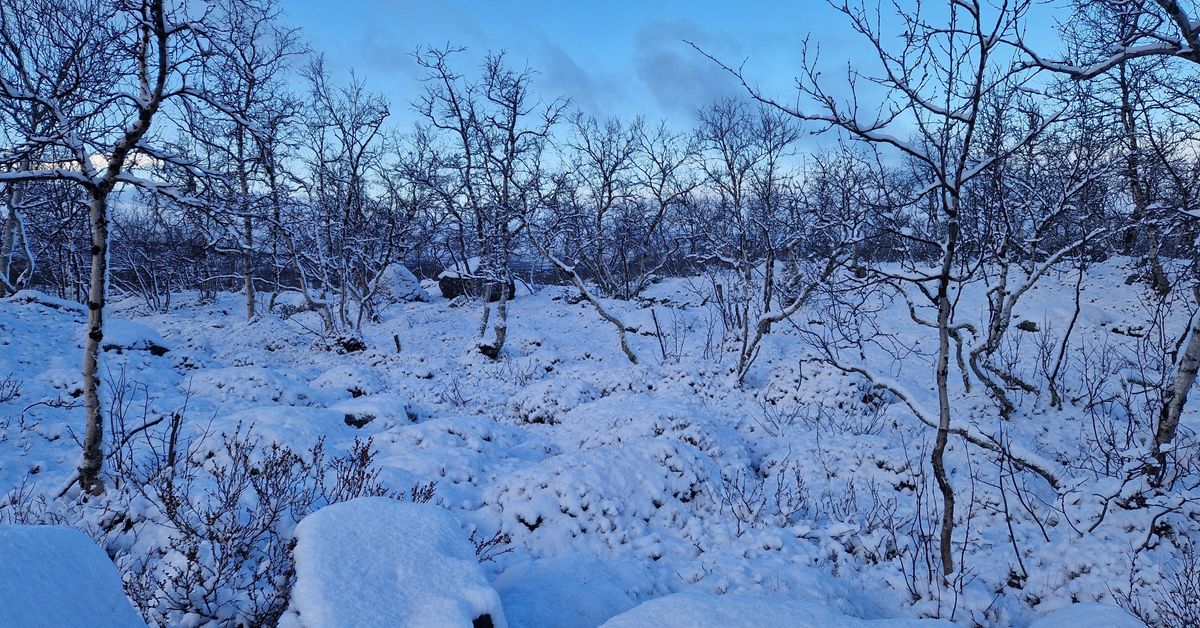 Finland Weather: First Snow May Hit Kainuu This Weekend