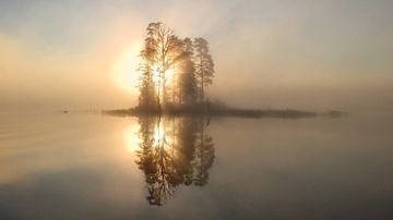 Pieni saari, jolla kasvaa puita, on sumuisen veden keskellä; aamuaurinko paistaa takana.