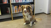 Martta på biblioteket