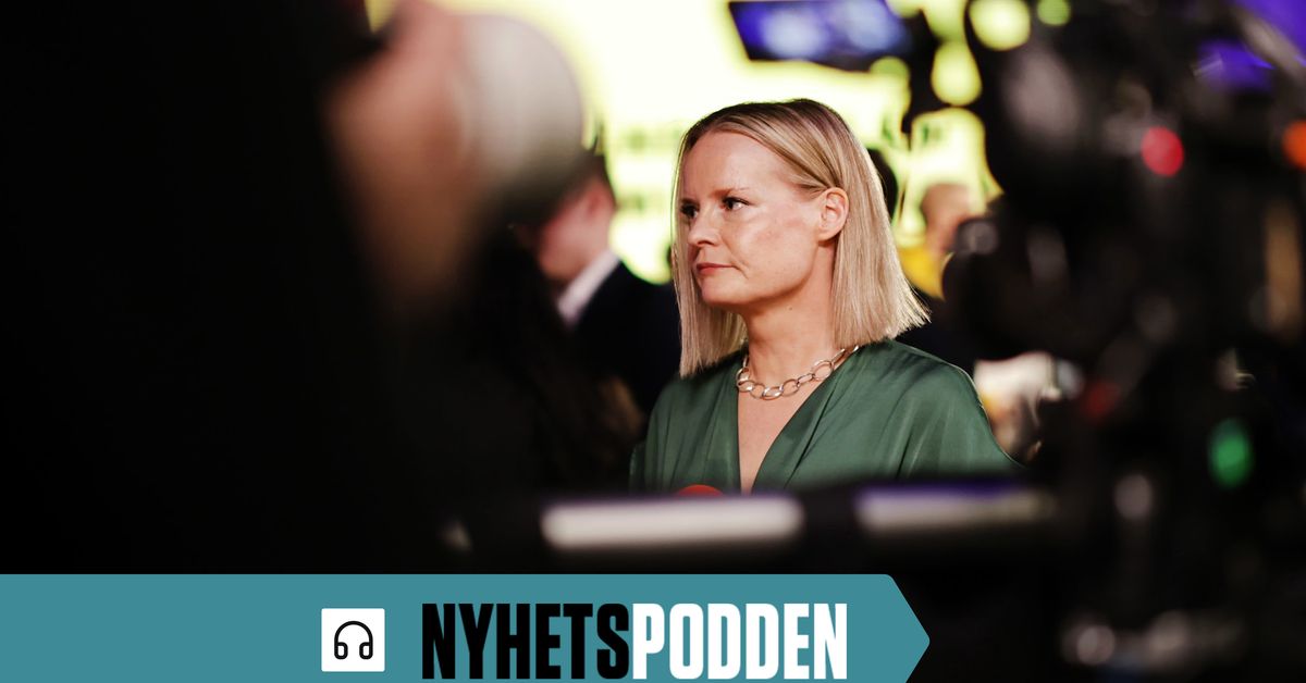 Stödet för Sannfinländarna dalar – hur ska partiet ta sig ur sin svacka ...