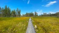 Pitkospuut Tiilikkajärven kansallispuistossa Rautavaaralla.