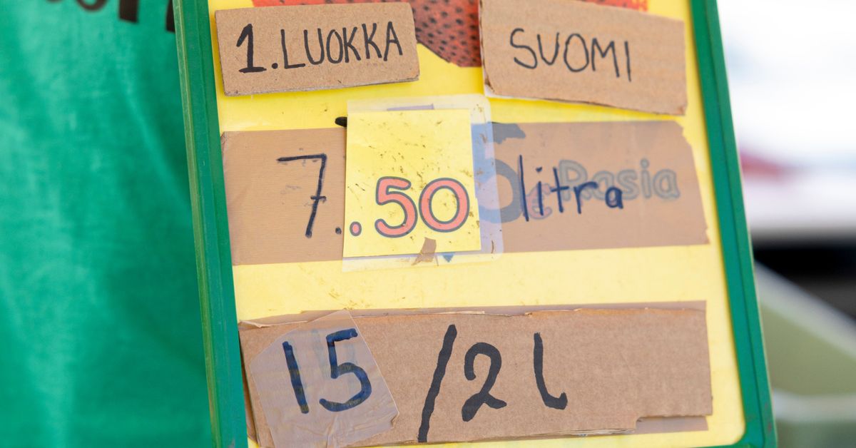 Mansikkalaatikosta saa nyt pulittaa jopa 70 euroa – asiakas: ”Täytyy vain laittaa silmät kiinni ja maksaa tyynesti”