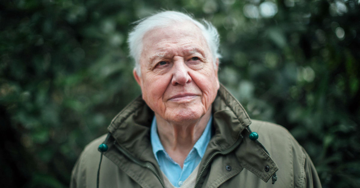 Britannian suurin elävä kansallisaarre Sir David Attenborough 100 vuotta – ”Hän on ilmiömäisen innostunut”, sanoo Avaran luonnon lukija