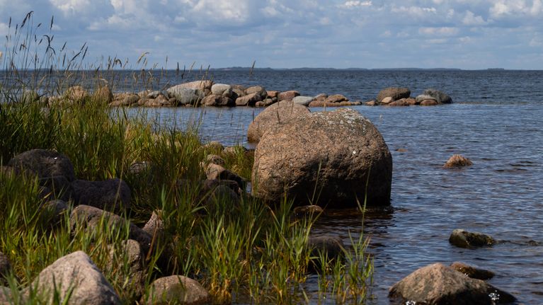 Ulko-Tammion ranta sataman lähettyvillä.