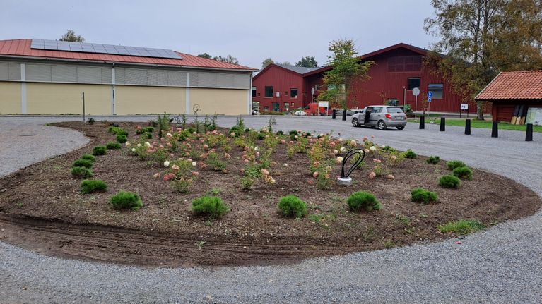En rondell med blommor och en cirkulationsplats runt, i bakgrunden syns två hus och en bil.