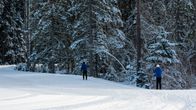 två menniskor som står på skidor