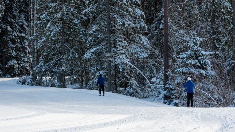 två menniskor som står på skidor