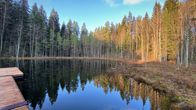  Syysaurinko valaisee metsälammen rantapuita. Kuvassa näkyy laituri. Ei ihmisiä.