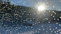 Talvinen pakkasmaisema kuuraisen ikkuna takana. Aurinko paistaa vaaran takaa.