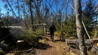 Ihminen kävelee metsässä kaatuneiden puiden keskellä aurinkoisena päivänä.