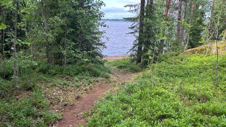 Polku vie järven rannalle vehreän metsän läpi.