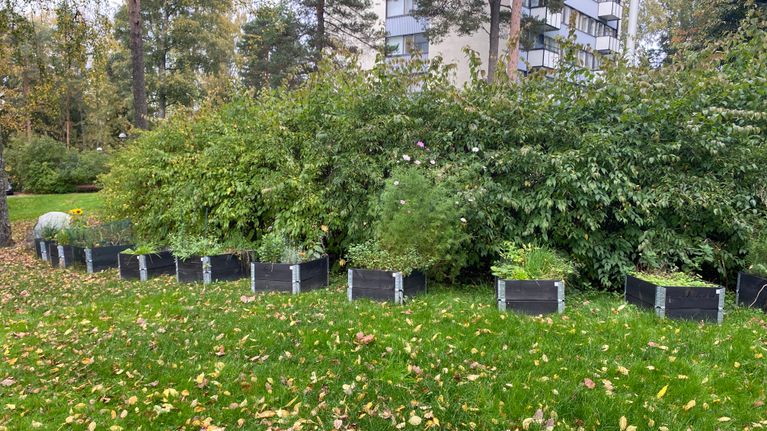 Odlingslådor för blommor.