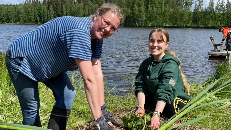 Salmijärvien hoitoyhdistyksen puheenjohtaja Mari Suomalainen (vas.) ja hankepäällikkö Tiina Kontio Savo-Karjalan Vesiensuojeluyhdistyksestä rakensivat kosteikkolauttaa Ylä-Salmijärvellä. 