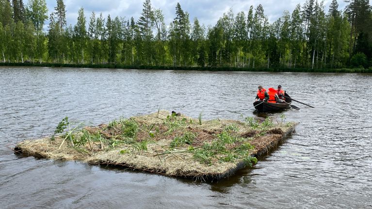 Kelluvaa kosteikkolauttaa hinataan soutuveneellä Ylä-Salmijärvellä Kuopiossa. 