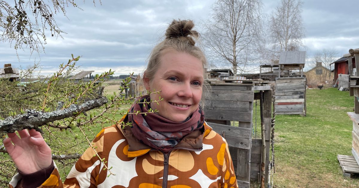 Laura Rukola opettaa rakentamaan majoja Lapinlahdella – ”On tärkeää ...