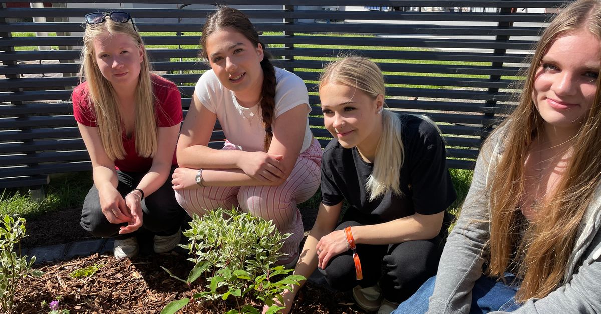 Nuorten idea bioindikaattorista toteutui – tehtaan