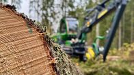 Lähikuva kaadetusta tukista. Taustalla metsäkone.