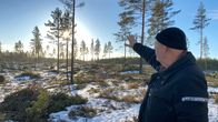 En person pekar mot avverkad skog i ett snöigt landskap med solnedgång i bakgrunden.