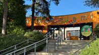 Särkänniemen nykyinen sisäänkäynti mäntyjen katveessa.