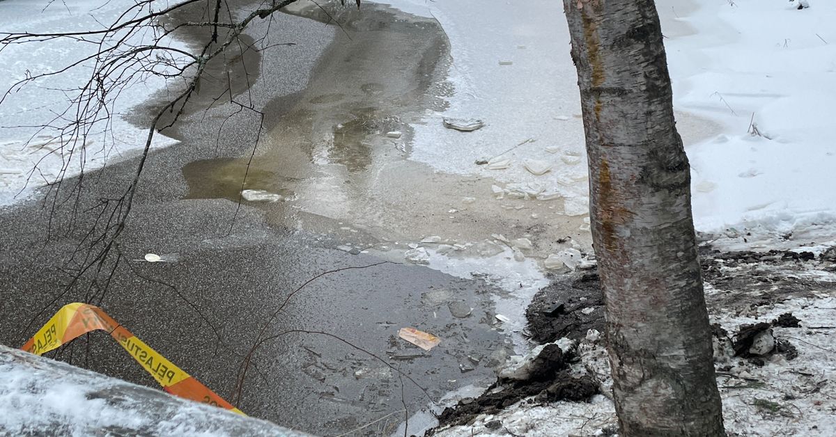 Four teenagers die after car crashes into river | Yle News | Yle