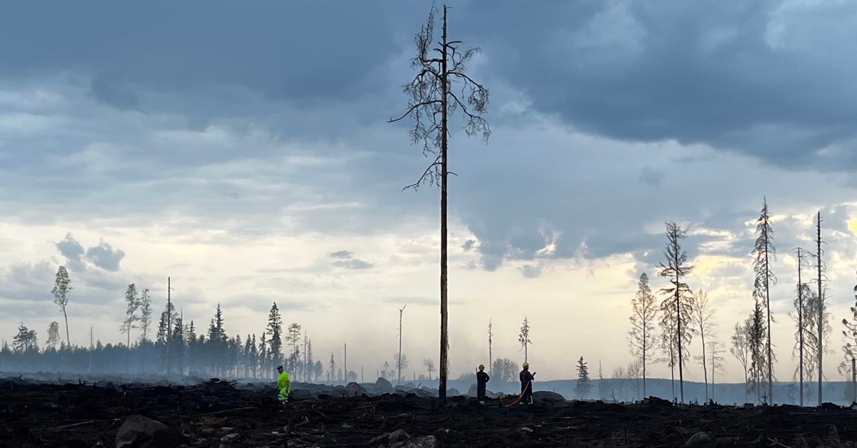 Emergency services tackle wildfires across Finland over the weekend ...