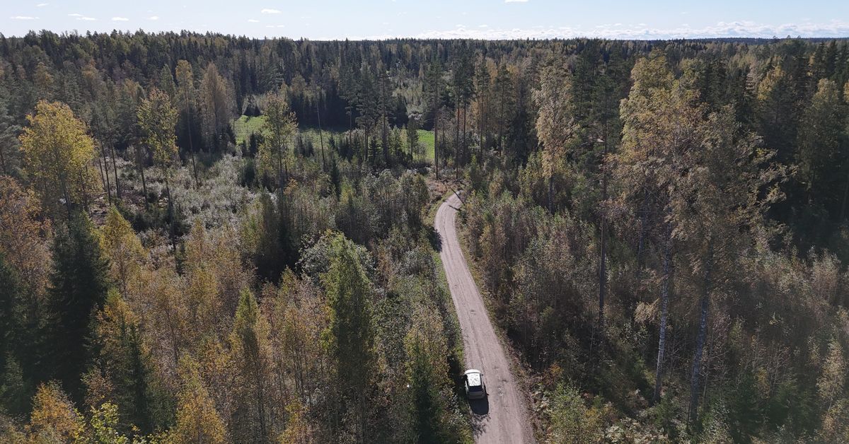Johanna Liukkonen pelasti Hilma-koiransa hengen viikonloppuna – susien ...