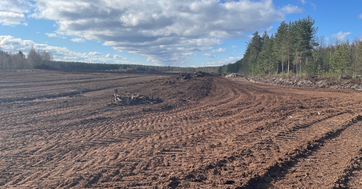 Turvetuotannon lisärahat helpottavat vain vähän alan yrittäjien tuskaa: ”Summa on pieni, mutta suunta oikea”