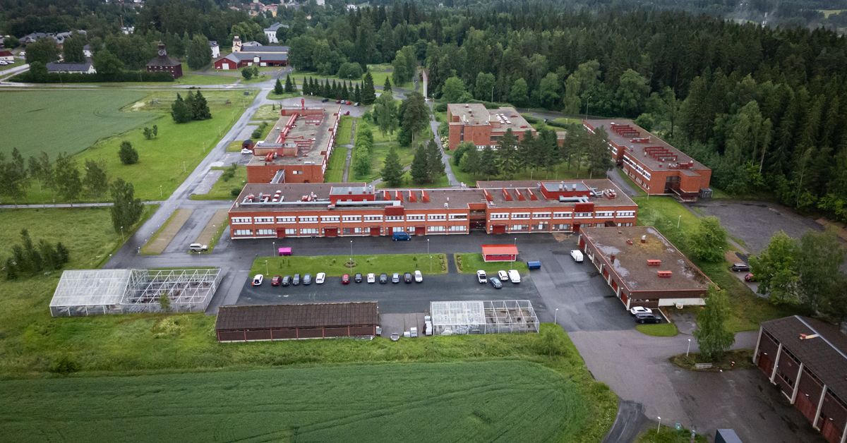 Regeringen lovade 500 praktikplatser – 29 unga har fått jobb