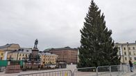 Tyhjä, juuri ylös nostettu, joulukuusi seisoo Senaatintorilla pilvisenä päivänä.