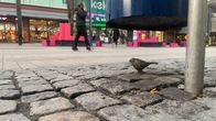 Jyväskylän kävelykatu on turvaton ja nuhruinen.