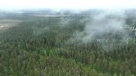 Ilmakuva laajasta metsäalueesta, jonka yllä leijuu matala pilviverhoa ja taustalla näkyy muutamia rakennuksia kaukaisuudessa.