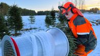 Metsurin varusteisiin pukeutunut Erkki Sillanmäki työntämässä joulukuusta pakkauskoneeseen lumisessa maastossa.