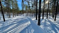 Hiihtolatu Rokuan kansallispuistossa talvella 2022.