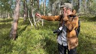 Inarilainen Jarmo Pyykkö määrittää relaskoopilevyllä puuston pohja-pinta-alaa. 7.8.2025 Martinjärvella Inarissa.